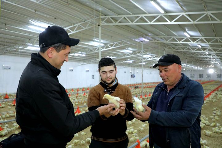 Паррандачилик ривожланмоқда