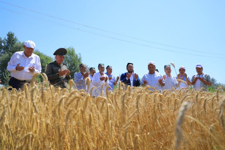 Буғдойимиз баракали бўлсин!
