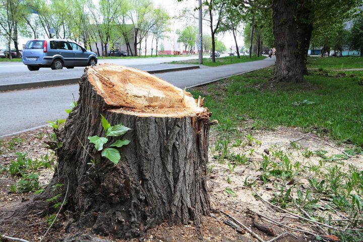 1 апрелдан қонунчиликда қандай ўзгаришлар кучга киради?