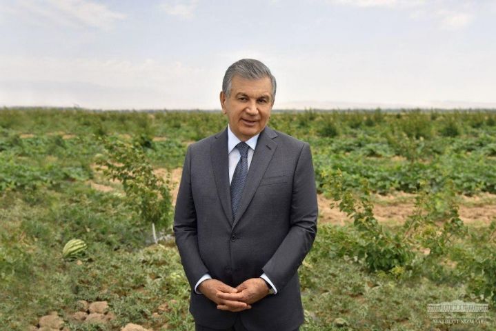 ЧУҚУР ТАҲЛИЛ, ТИНИМСИЗ МЕҲНАТ ВА ОҚИЛОНА ЁНДАШУВ БЎЛСА, АНИҚ НАТИЖАГА ЭРИШАМИЗ