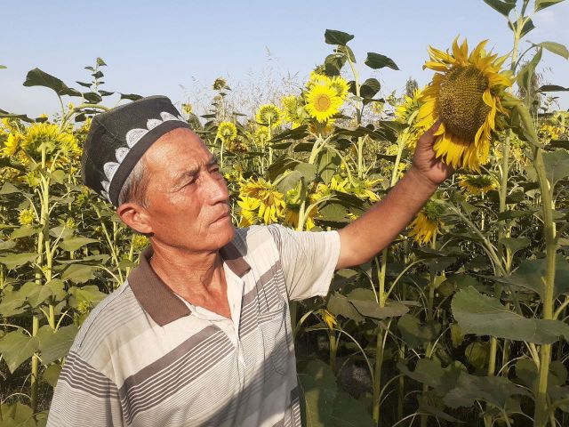 Ҳосил ўн тоннадан кам эмас